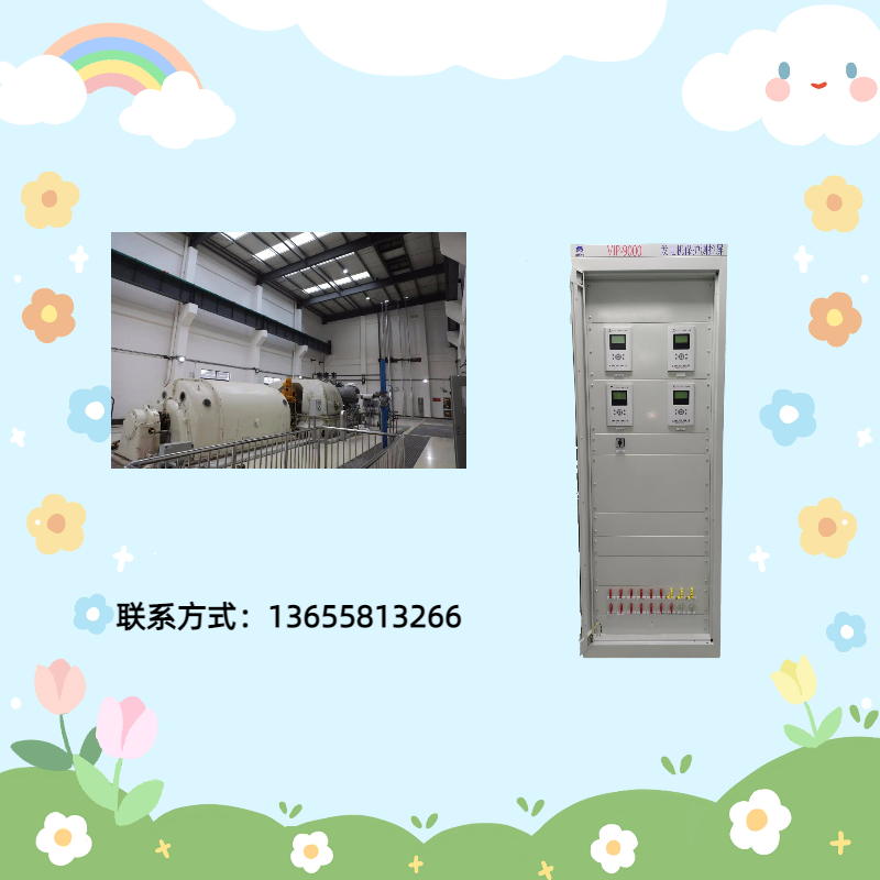 常見的發(fā)電機(jī)保護(hù)功能都有哪些，需要投入哪些功能